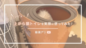 【レビュー】アイリスオーヤマの『上から猫トイレ』を実際に使ってみた!【動画あり】