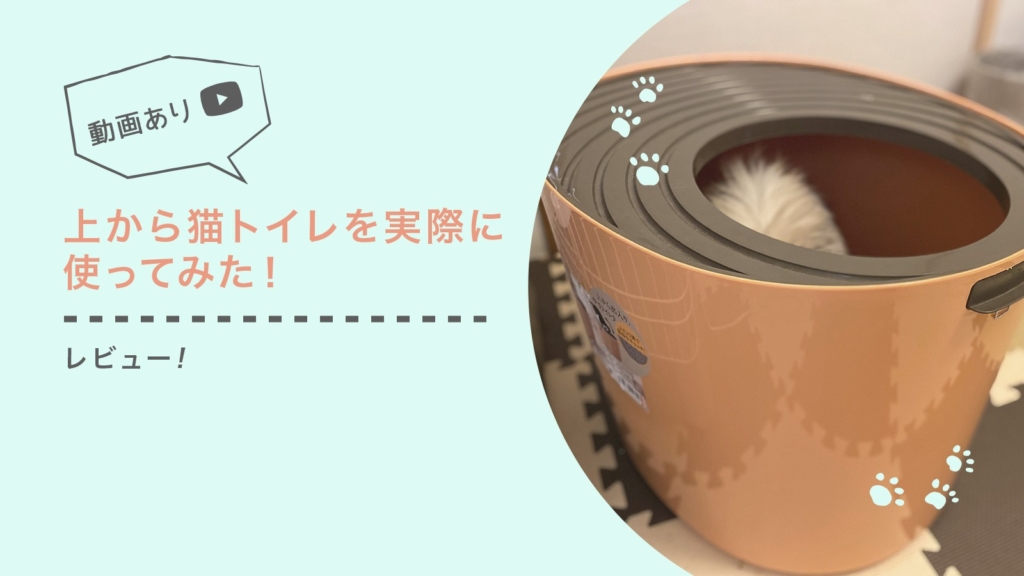 【レビュー】アイリスオーヤマの『上から猫トイレ』を実際に使ってみた!【動画あり】