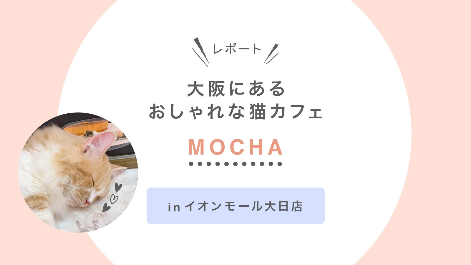 大阪にあるおしゃれな猫カフェ【MOCHA】イオンモール大日店に行ってみた！｜レポート