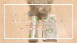 【猫の除菌・消臭スプレー】カンファペットは効かないって本当!?公式サイトから実際に購入してみたレビ...